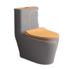 Tankless WC